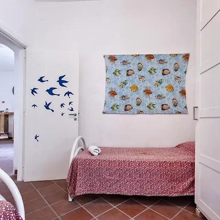Mimosa Apartamento Gallipoli